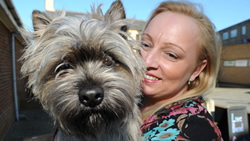 crufts 2